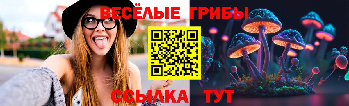 Южноуральск  как найти   Вход с VPN  Галлюциногенные грибы GOLDEN TEACHER 